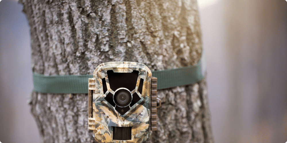 Options de fonctionnalités supplémentaires
