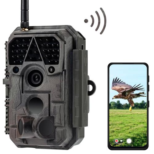comparatif camera chasse meidase